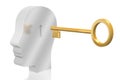 3D key/ password/ mind concept Royalty Free Stock Photo