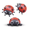 3D ladybug in different positions. Vector beetle, front, side, top view