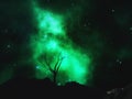 3D landscape with gnarly tree against a nebula space sky