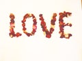 3d LOVE written with dried red rose petals
