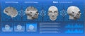 3D Low Poly brain scanning, HUD medical virtual graphic touch user interface, brain scanning accurate facial recognition