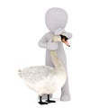 3D m stroking a swan