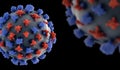 3d macro virus cell