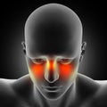 3D male medical figure with sinus pain highlighted