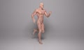 3D Render : an illustration of a running man with muscle tissues Royalty Free Stock Photo