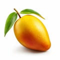 Vibrant Mango Fruit With Realistic Water Style On White Background Royalty Free Stock Photo