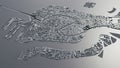 Venice city 3d map.