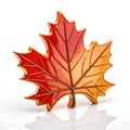 3D Maple Leaf Icon Isolated on White Background Royalty Free Stock Photo