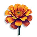 3D Marigold isolated on a white background Royalty Free Stock Photo