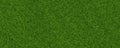 3d material green grass texture