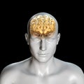 3D medical background with male figure with brain Royalty Free Stock Photo