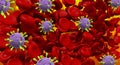 SARS-CoV-2 Omicron / Delta Variant Coronavirus Mutation Scientific Illustration