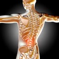 3d medical male figure with highlighted pain area