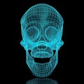 3D Mesh Skull