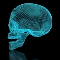 3D Mesh Skull