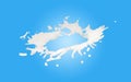 3d milk ripple splash isolated on blue background. 3d render illustration, include clipping path Royalty Free Stock Photo