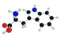 model of tryptophan