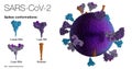 3D model of an authentic SARS-CoV-2 virus particle rotating 360 degrees, reveals positions, conformations and orientations of the Royalty Free Stock Photo