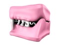 3d model of cat teeth cast. Royalty Free Stock Photo