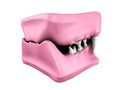 3d model of cat teeth cast. Royalty Free Stock Photo