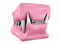3d model of cat teeth cast.