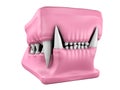 3d model of cat teeth cast. Royalty Free Stock Photo