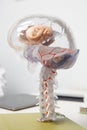 3D model of human brain with spinal cord Royalty Free Stock Photo