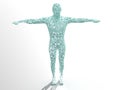 3D model human shape Royalty Free Stock Photo