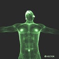 3D Model of Man. Human Body. Design Element. Vector Illustration Royalty Free Stock Photo