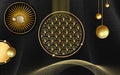 3d modern chinese art mural wallpaper . golden balls and decorative circles and golden lines in dark background .