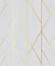 3d modern mural wallpaper . Golden lines, white marble background . Royalty Free Stock Photo