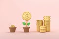 3d money tree with golden coin flower in pot on orange background. Business profit investment, finance education, earning income, Royalty Free Stock Photo