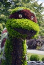 3D Mosaiculture of Memphre the monster of Memphremagog lake