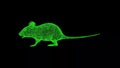 3D Mouse on black background. Small animals concept. Rodents and pests. Business advertising backdrop. For title, text