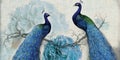 3d mural background blue peacock on branch wallpaper . with flowers Royalty Free Stock Photo