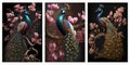 3d mural background turquoise peacock on floral branch wallpaper. with flowers on black background Royalty Free Stock Photo