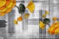 3d mural floral wallpaper. golden ginko biloba leaves in black gray texture background