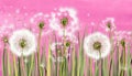 3d mural interior wallpaper for girl.Many dandelions on light pink watercolor with grass, background with fly flower