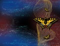 3d mural wallpaper abstract with dark background . colored butterfly and waves line