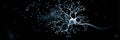 3D Neuron Model Suspended in Dark Space Showcasing Intricate Structure and Floating Particles Royalty Free Stock Photo