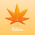 3d orange maple autumn leaf with golden elements isolated on clear background. Royalty Free Stock Photo