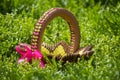 3D origami basket on the grass