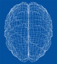 3D outline brain. Vector rendering of 3d