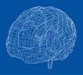 3D outline brain. Vector rendering of 3d