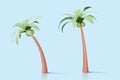 3d palm tree collection