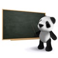 3d Panda teacher