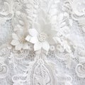 Textured Floral Decor On White Lace: Hyperrealistic Details And Intricate Costumes