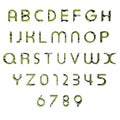 3d patterned green alphabet