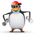 3d Penguin dumbells