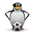 3d Penguin loves soccer